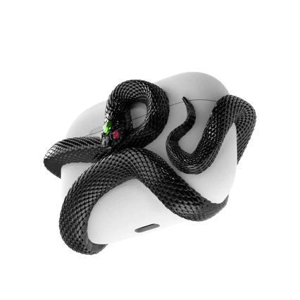 Black Snake Airpod case